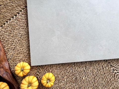  Gạch vân đá màu xám nhạt 60x60cm Art556 