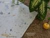 Gạch terrazzo đá sỏi trắng ngọc Art61202
