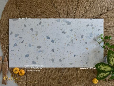  Gạch terrazzo đá sỏi trắng ngọc Art61202 
