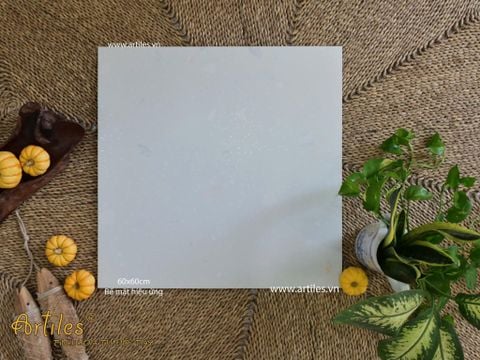 Gạch terrazzo đá sỏi đá mài 2026