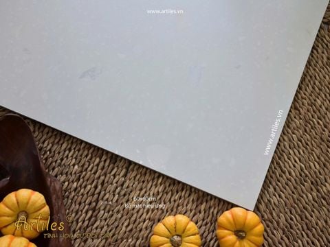  Gạch terrazzo đá sỏi trắng ngọc Art6604 