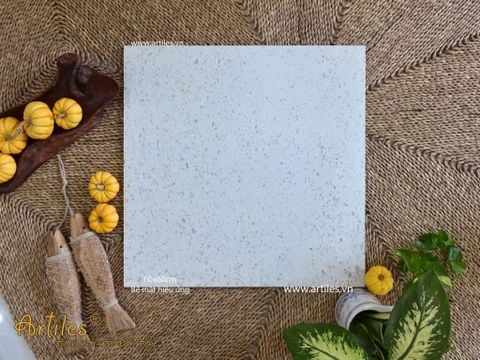  Gạch terrazzo đá sỏi trắng Art6605 