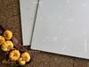 Gạch terrazzo đá sỏi trắng ngà Art6607