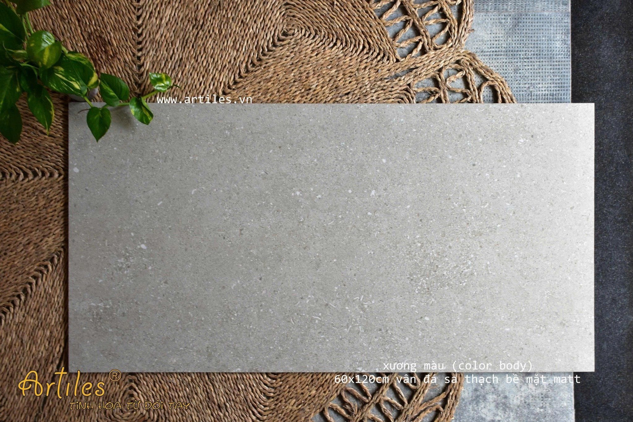 Gạch Đá Mài Hạt Nhỏ 60x120cm  Art-186N