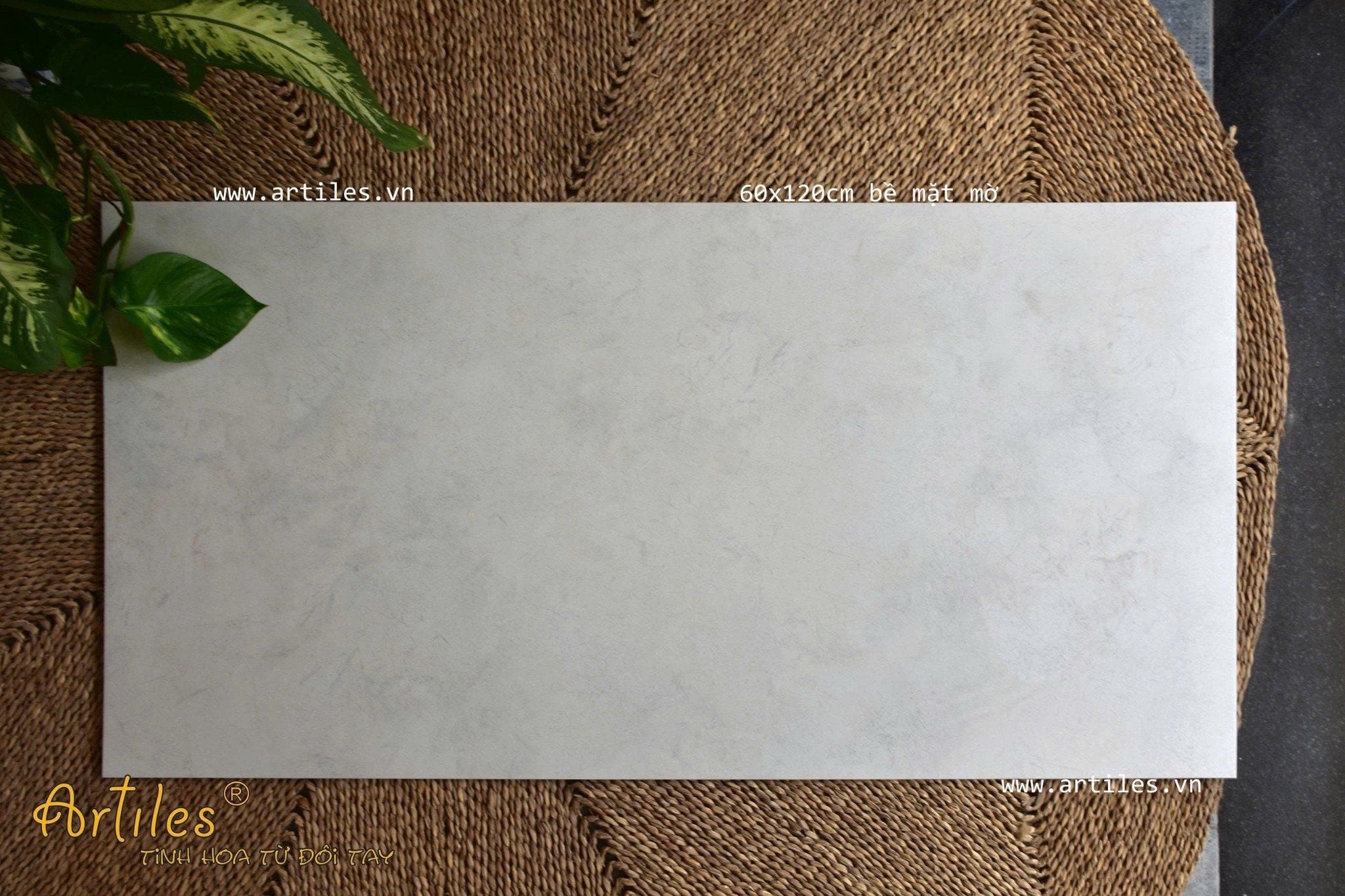 Gạch xám ximang 60x120cm màu xám kem