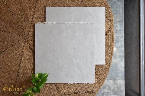  Gạch 60x60 màu kem xám mờ Art6623M 