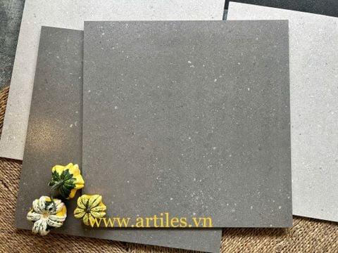  Gạch vân đá sa thạch 60x60cm màu than chì 