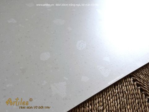  Gạch terrazzo đá sỏi trắng ngà Art61207 