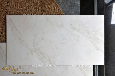  Gạch ốp lát 60x120cm vân đá Marble ArtG-H17 