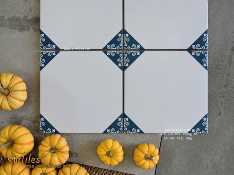  Gạch bông họa tiết 20x20cm Art2214 