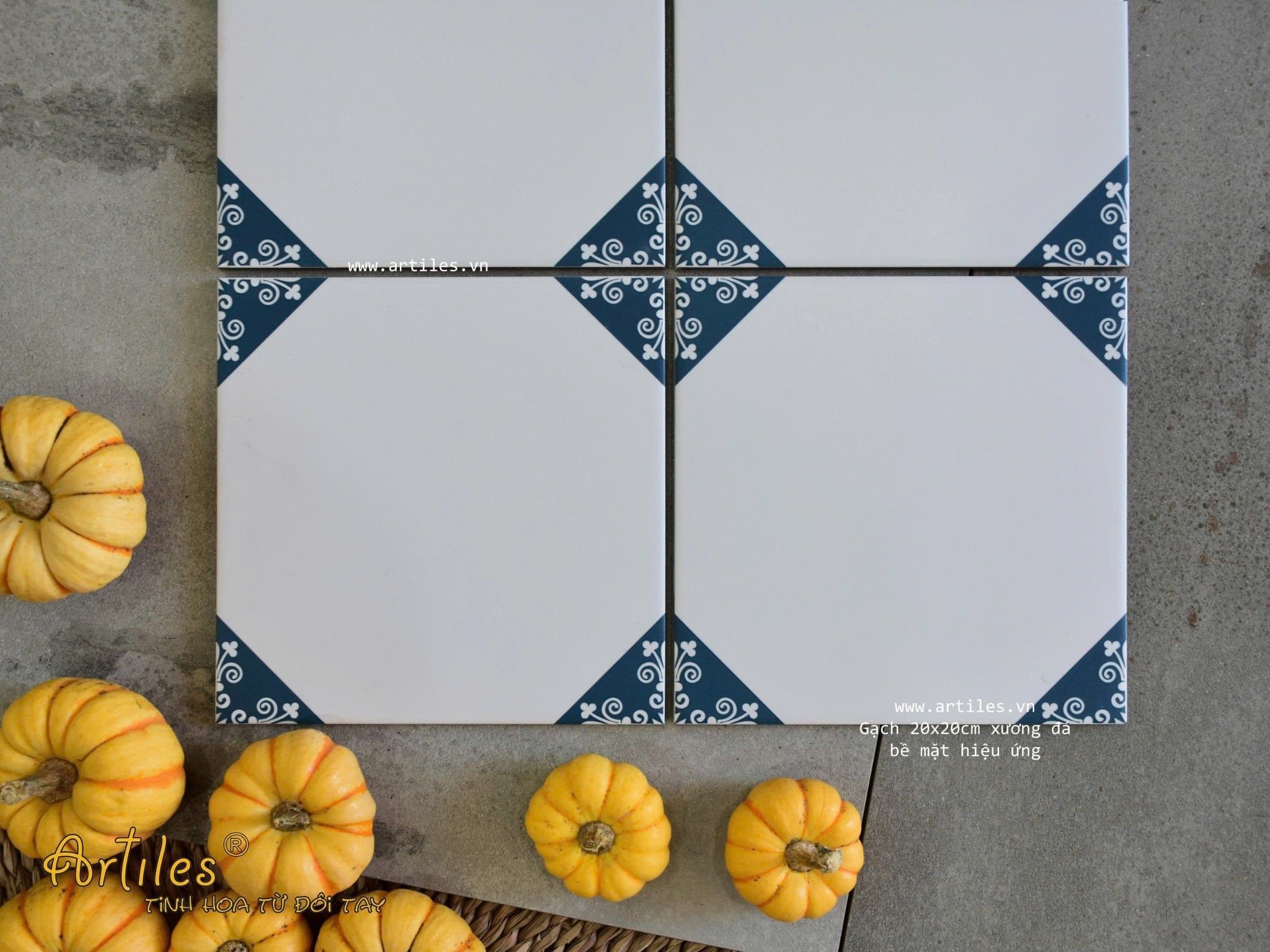 Gạch bông họa tiết 20x20cm Art2214