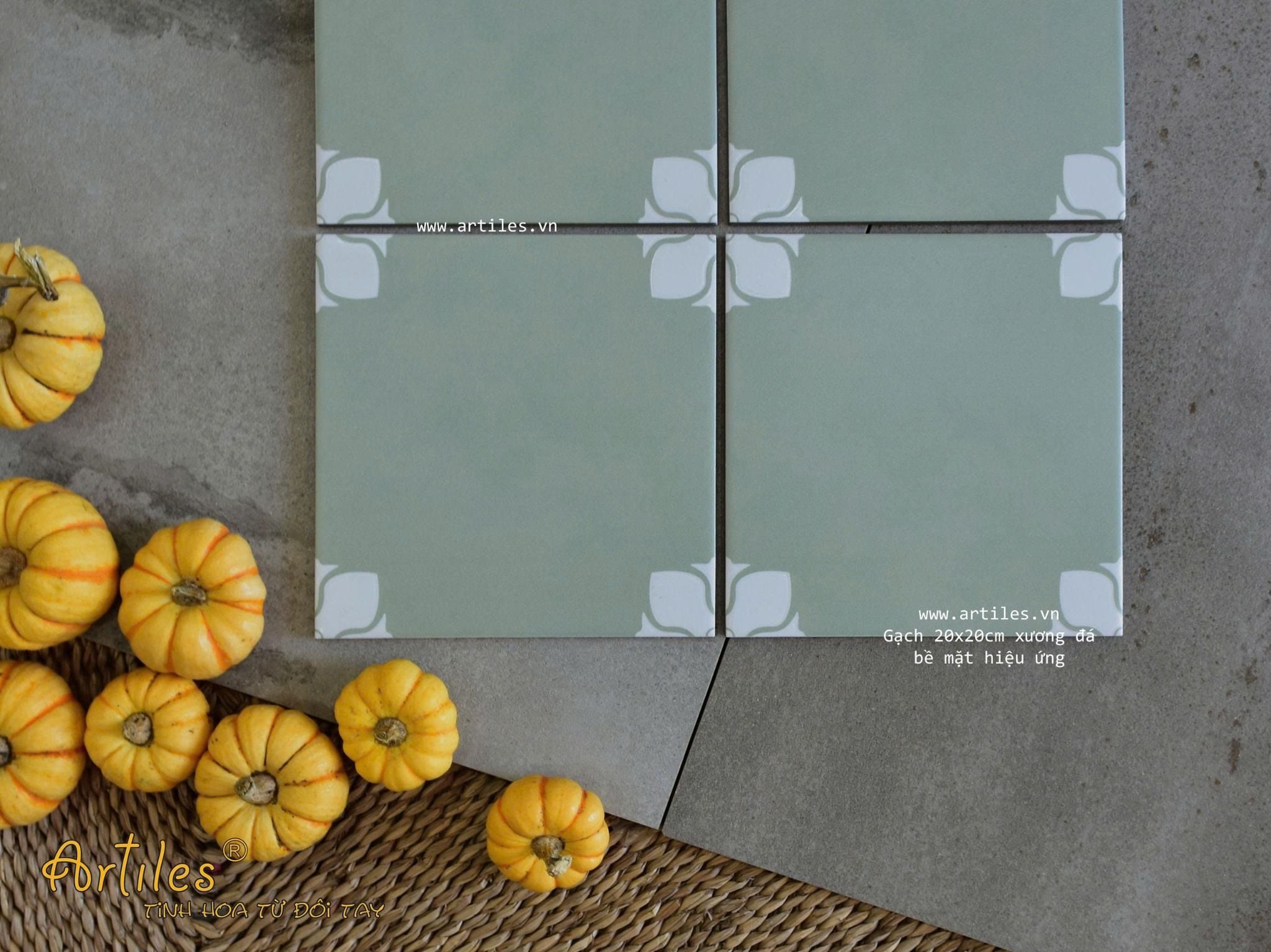 Gạch bông họa tiết 20x20cm Art2218