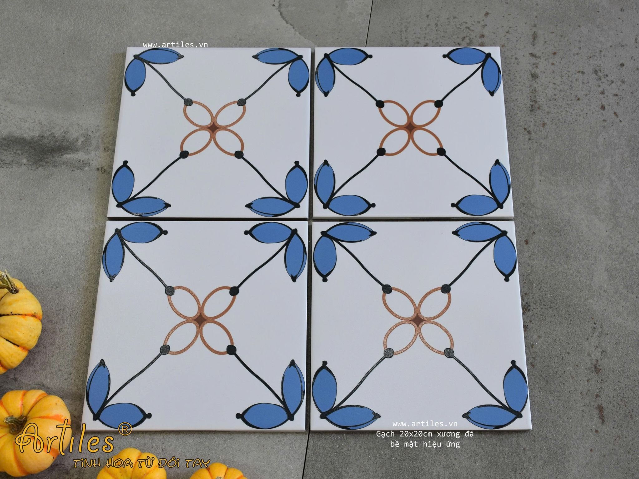 Gạch bông họa tiết 20x20cm Art2216