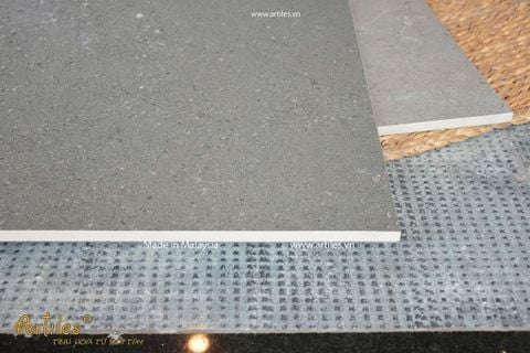  Gạch lát nền 60x60 mờ Malaysia Art66009 