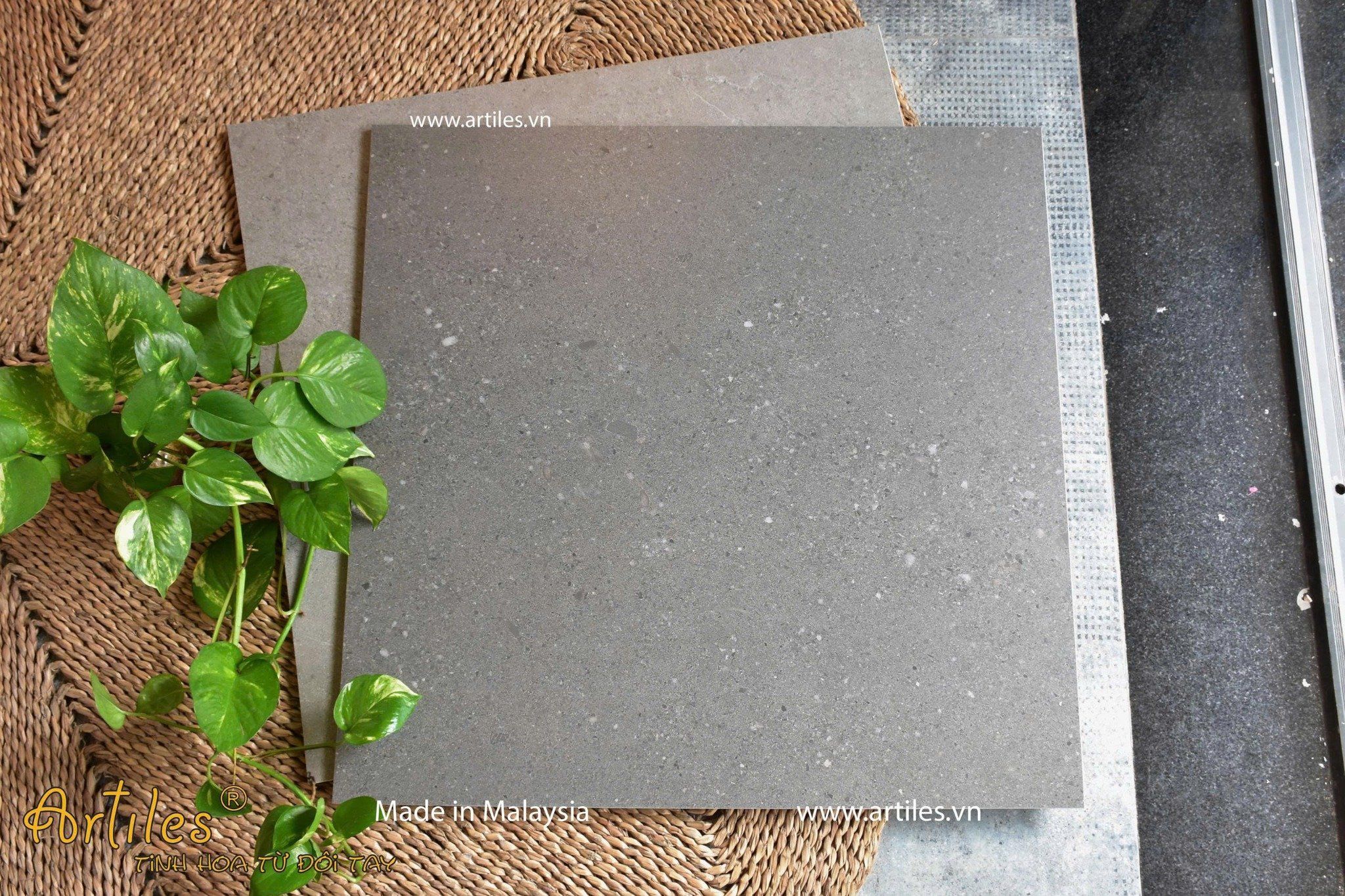 Gạch lát nền 60x60 mờ Malaysia Art66009