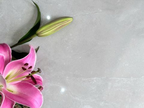  Gạch bóng kiếng 80x80 vân Marble ArtP026 