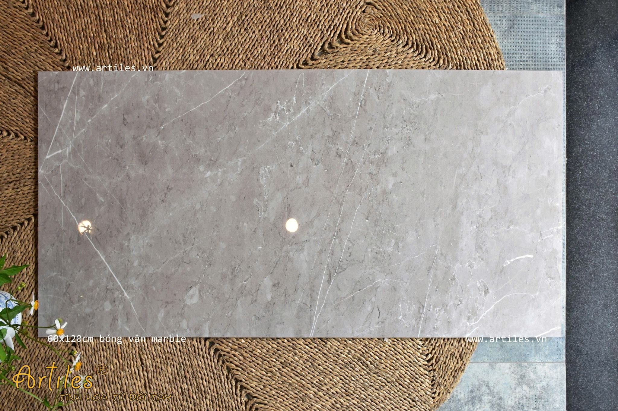 Gạch bóng kiếng 60x120cm màu nâu nhạt Art61207