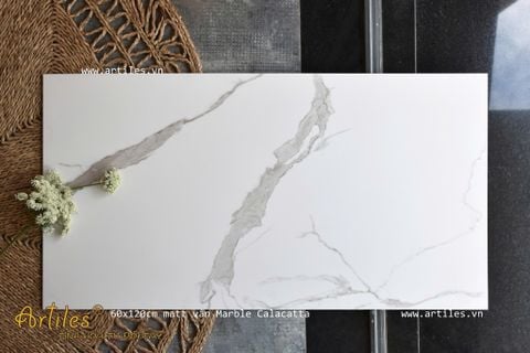  Gạch bóng kiếng 60x120 trắng vân khói Marble 