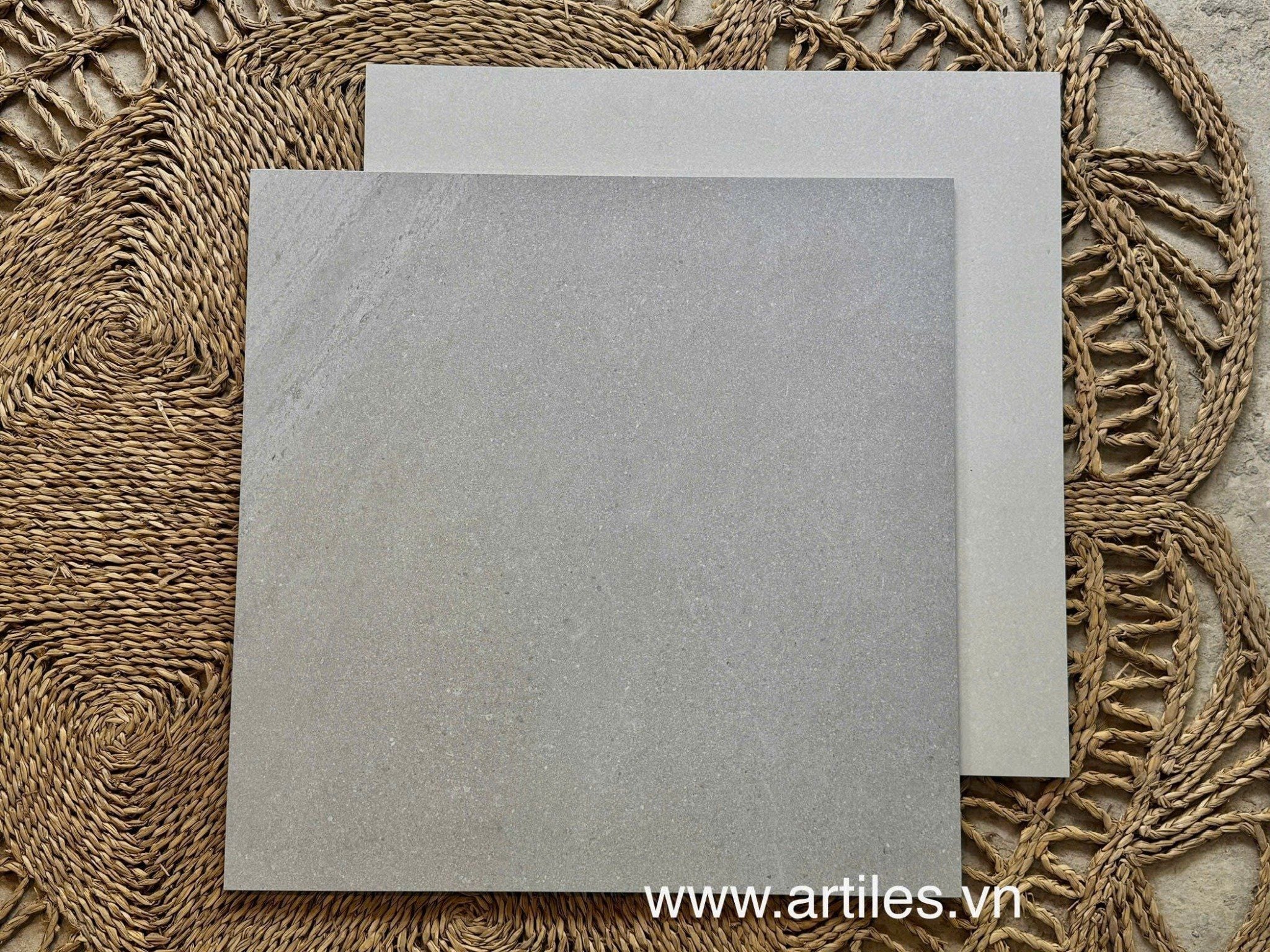 Gạch vân đá xám đẹp 60x60 Art205M
