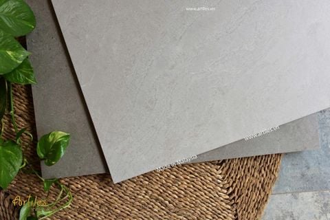  Gạch lát nền 60x60 mờ Malaysia Art66066 