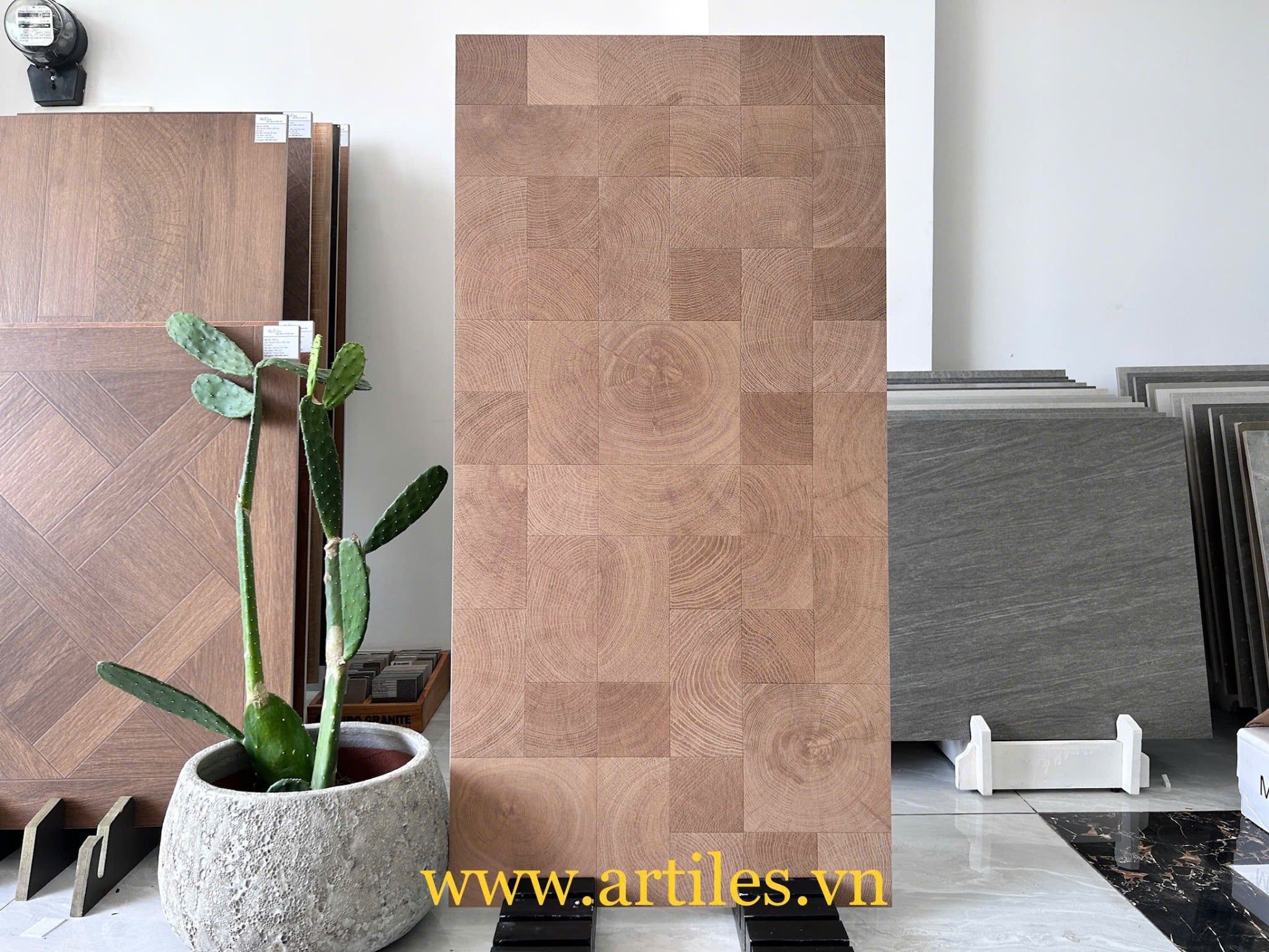 Gạch vân gỗ 60x120cm Art1208SM
