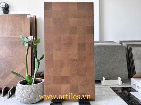  Gạch vân gỗ 60x120cm Art1205SM 