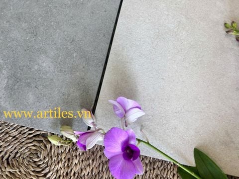  Gạch lát sân dày 20mm 