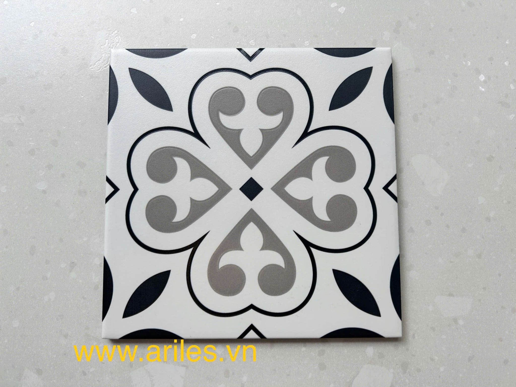 Gạch bông họa tiết 20x20cm Art2223