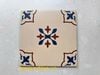 Gạch bông họa tiết 20x20cm Art2219