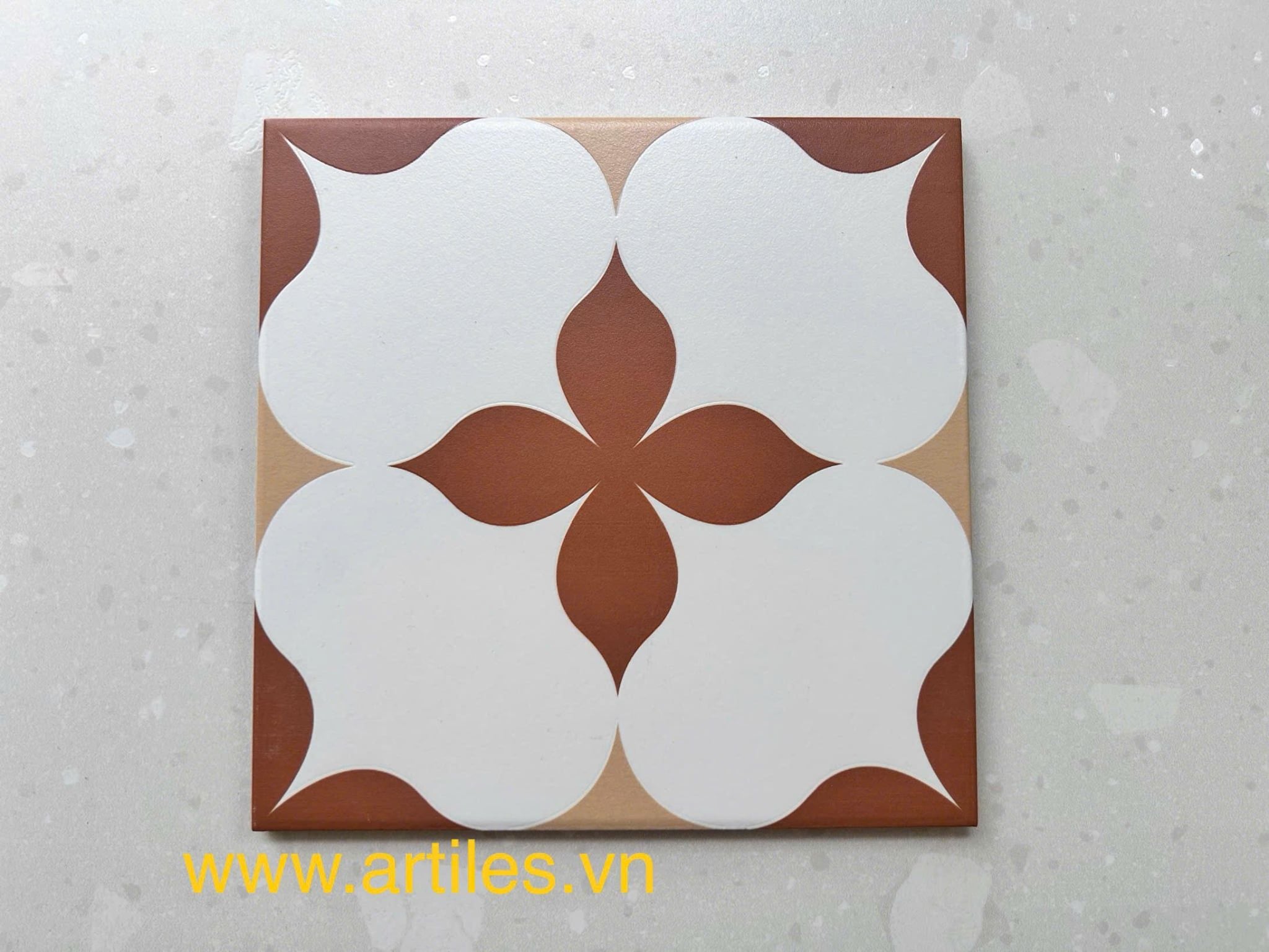 Gạch bông họa tiết 20x20cm Art2220