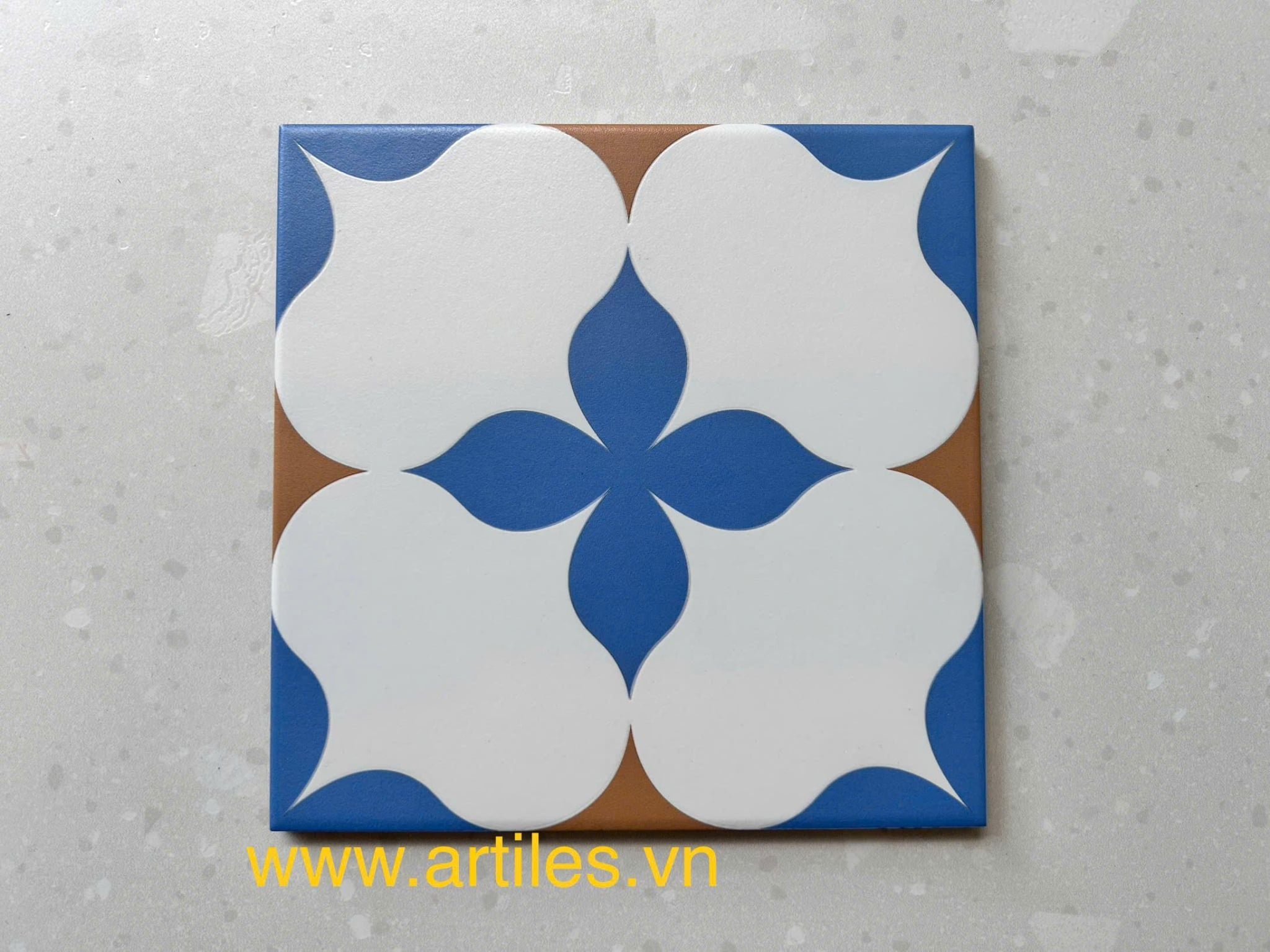 Gạch bông họa tiết 20x20cm Art2221