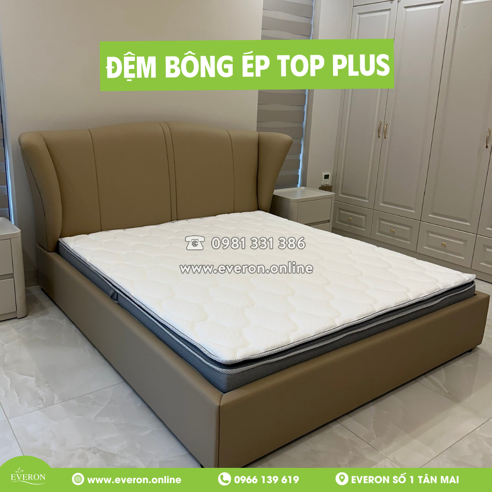 Đệm bông ép Top Plus Everon
