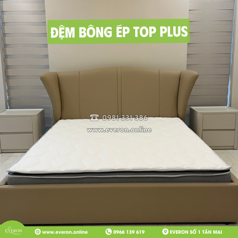 Đệm bông ép Top Plus Everon