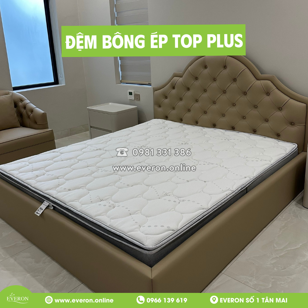 Đệm bông ép Top Plus Everon