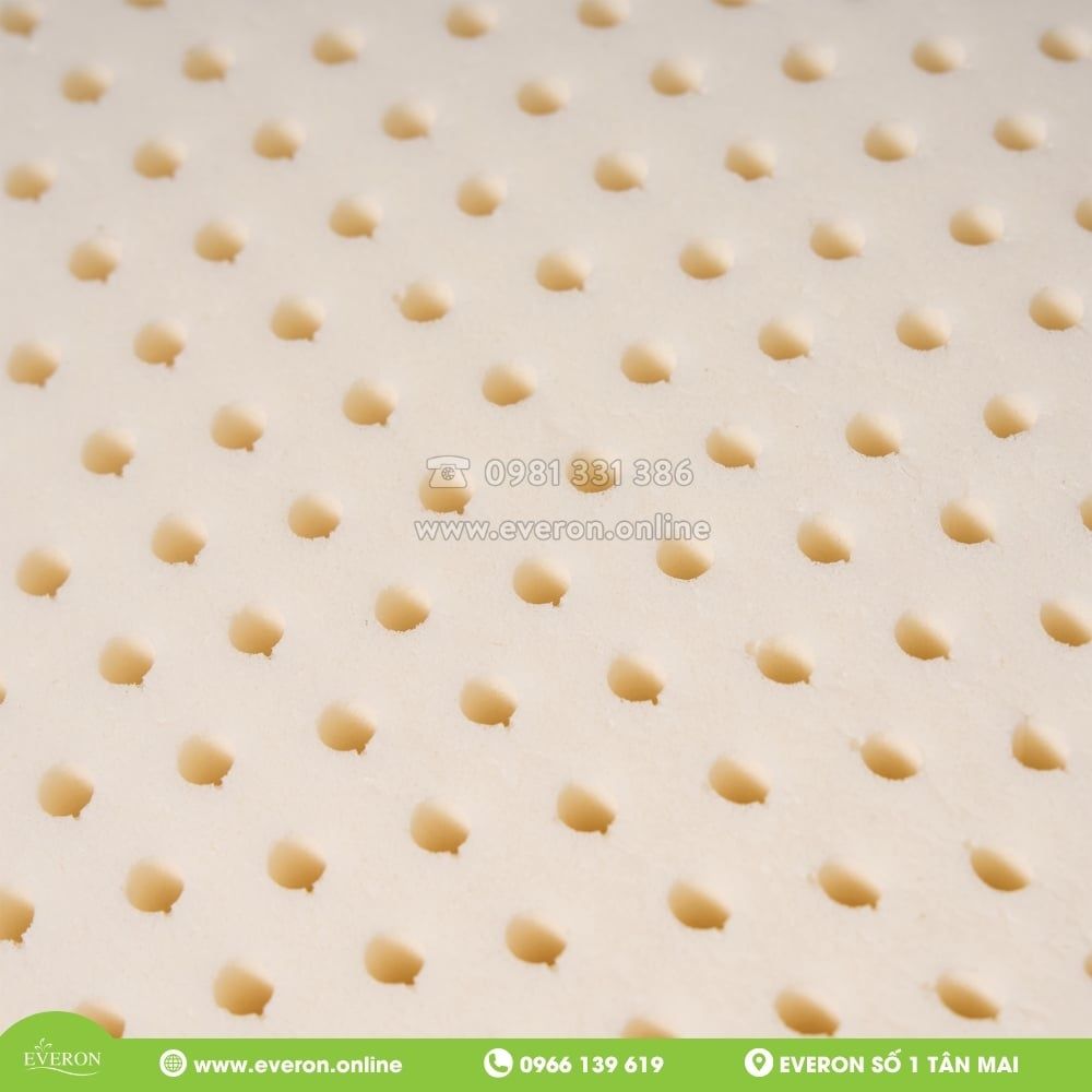 Ruột Gối Cao Su Everon Latex