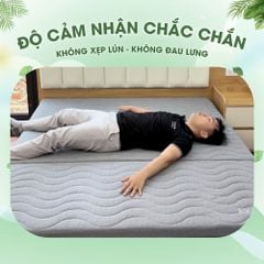 Đệm Bông Ép Everon Dệt Kim