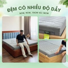 Đệm Bông Ép Everon Dệt Kim
