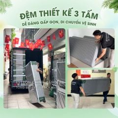Đệm Bông Ép Everon Dệt Kim