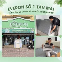 Đệm Bông Ép Everon Dệt Kim