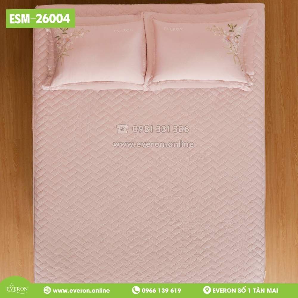 Bộ Everon ESM-26004