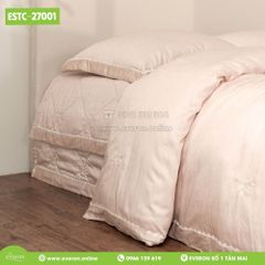 Bộ Everon ESTC-27001