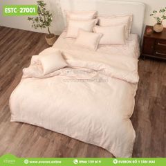 Bộ Everon ESTC-27001