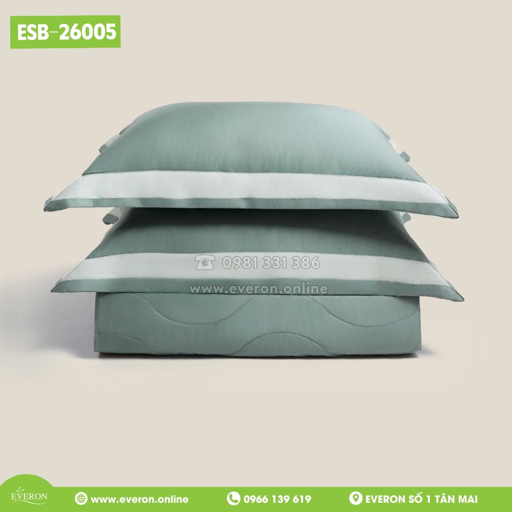 Bộ Everon ESB-26005