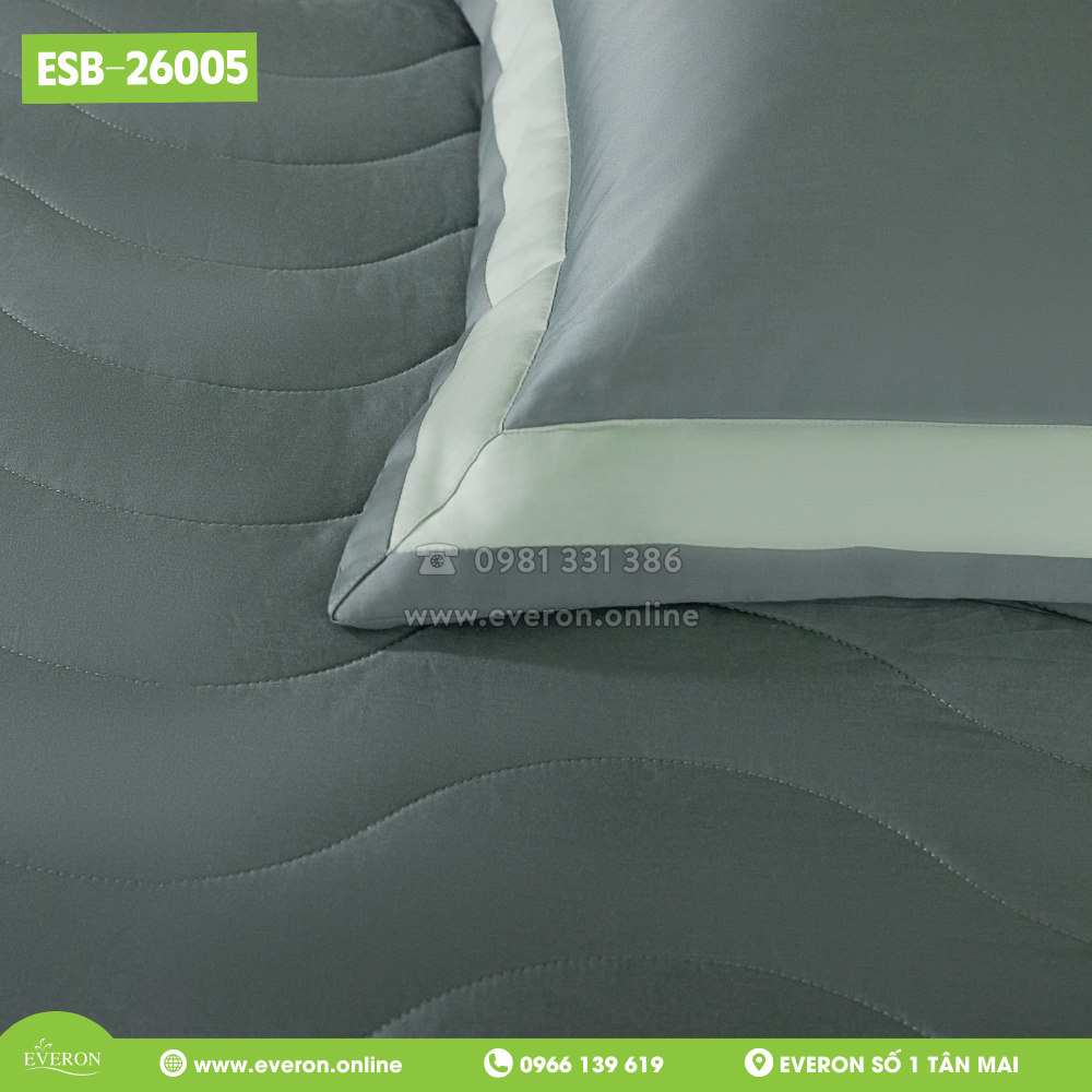 Bộ Everon ESB-26005