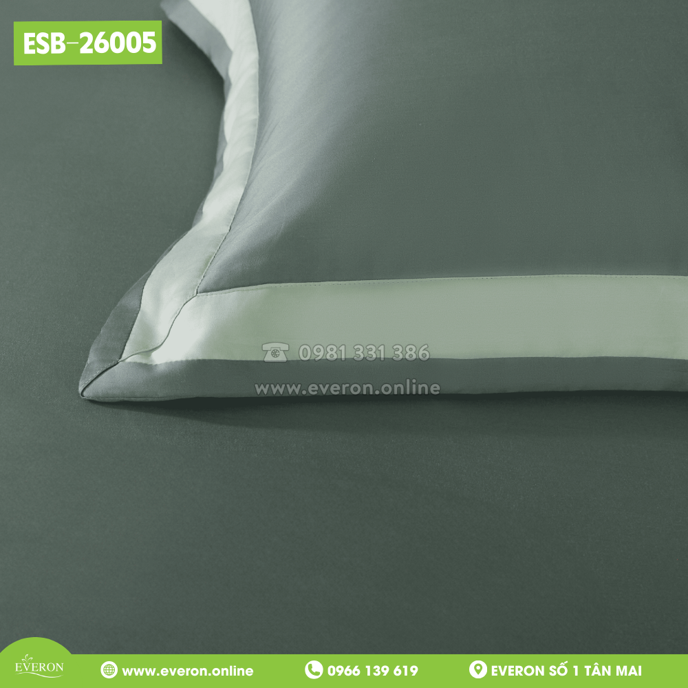 Bộ Everon ESB-26005