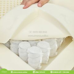 Ruột Gối Lò Xo Everon