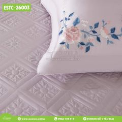 Bộ Everon ESTC-26003