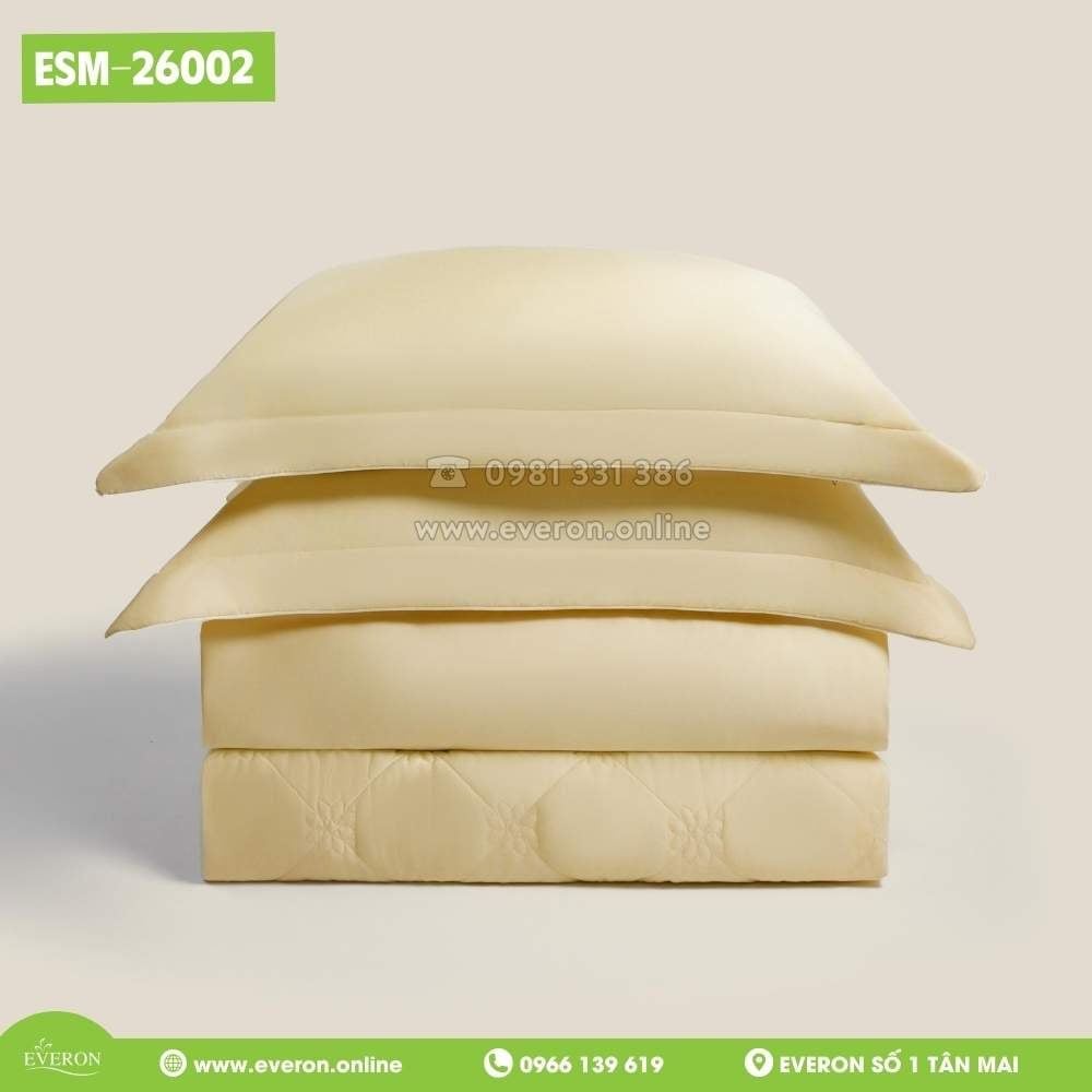 Bộ Everon ESM-26002