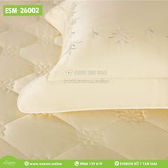 Bộ Everon ESM-26002