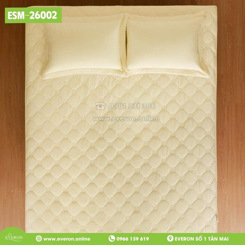 Bộ Everon ESM-26002